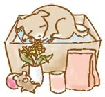 �y�b�g���S