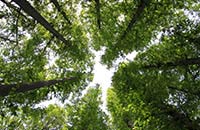 ���R�U��